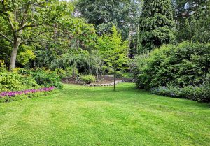 Optimiser l'expérience du jardin à Thurey-le-Mont